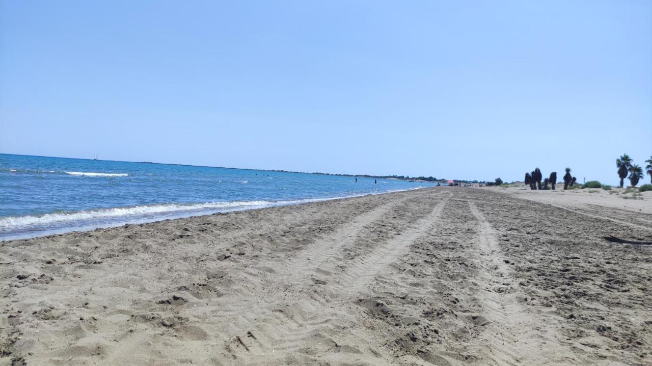 Mas Mido Villa Sant Jaume d'Enveja Bagian luar foto